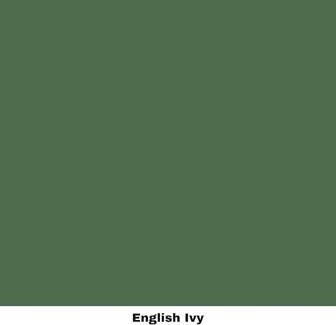 Dixie Belle Paint Company Chalk Finish Furniture Paint - English Ivy (4oz) - Matte Muted Green Chic Chalk Mineral DIY Furniture Paint