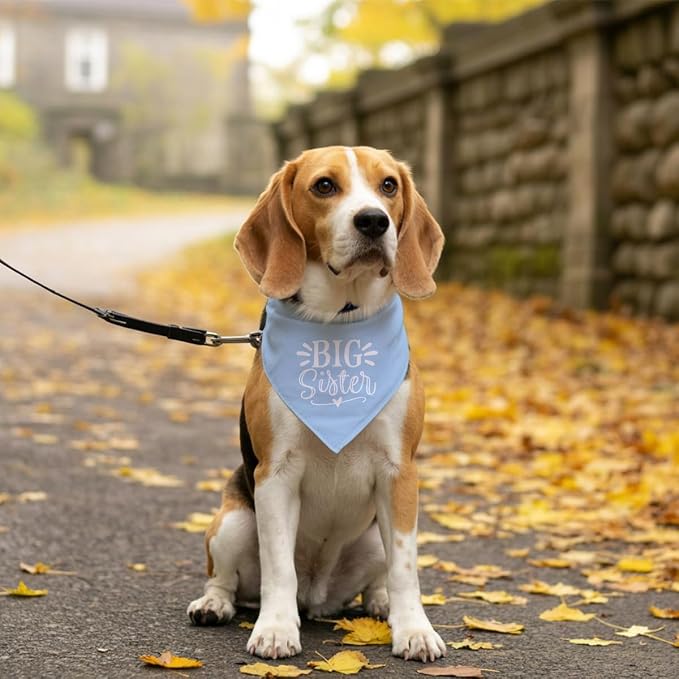 Big Sister Dog Bandana, Light Blue Pet Scarf Accessories, Pet Triangle Scarf - Image 5