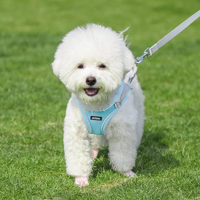 AIITLE No Pull Dog Harness and Leash Set, Step in Adjustable Dog Harness - Image 9