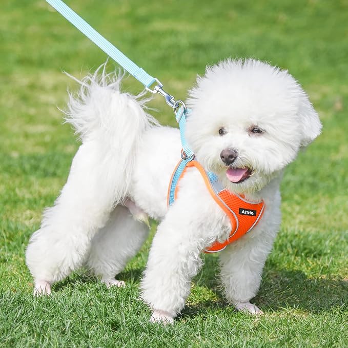 AIITLE Escape Proof Dog Harness - Image 9