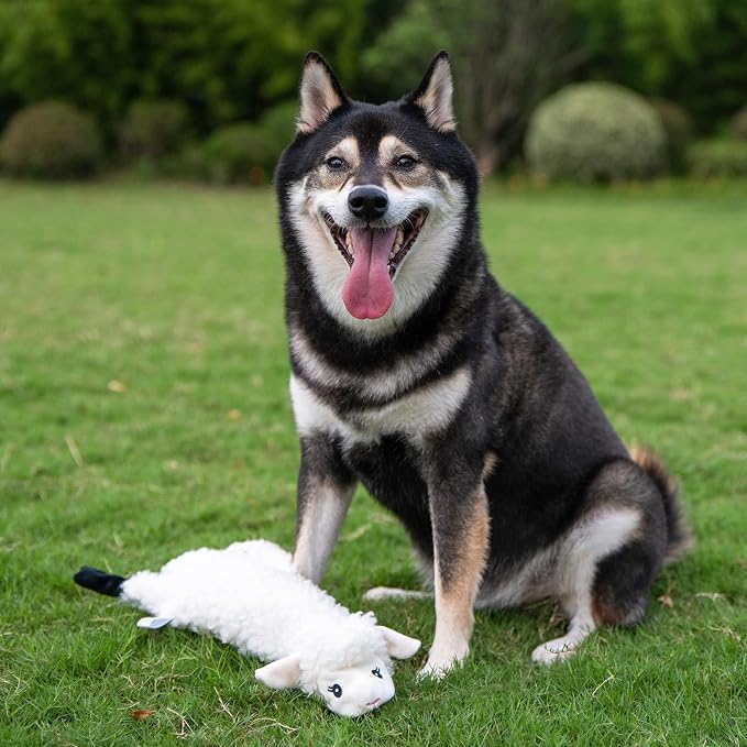 Best Pet Supplies Squeaky Dog Toys - Image 5