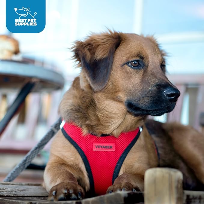 Best Pet Supplies - Image 11