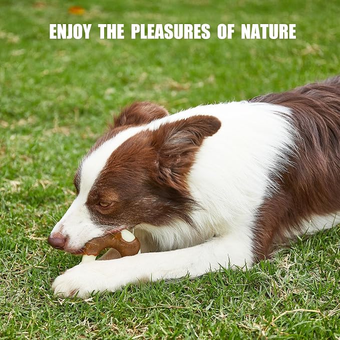 Durable Nylon Dog Toys, 2 Pack Tough Chew Toys - Image 7