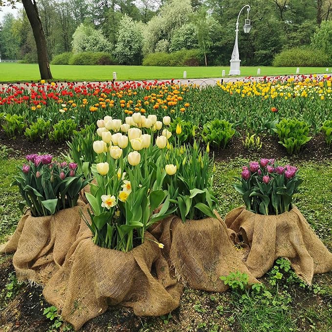 Garden Burlap Roll, 60" x 50 Feet Natural Jute Burlap Fabric Roll for Gardening Raised Bed Liners,Seed Cover,Edging,Weed Barrier,Aisle Runner Plant Cover Tree Protections (60" x 50 Feet)