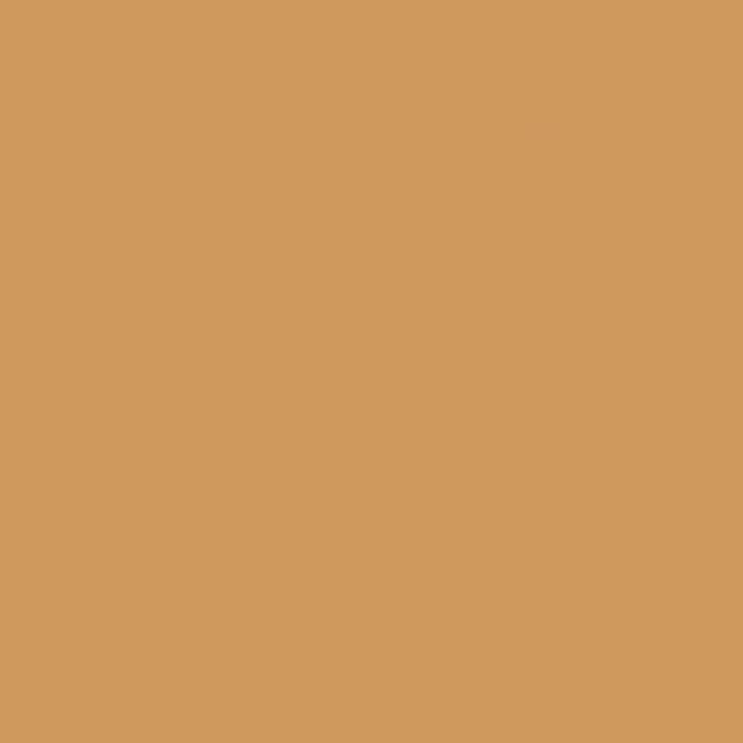 Rust-Oleum 249103 Painter's Touch 2X Ultra Cover Spray Paint, 12 oz, Gloss Khaki - Image 2