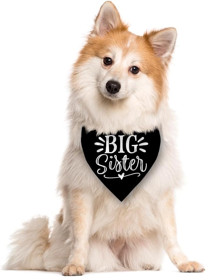 Big Sister Bandana for Dogs, Pet Pregnancy Announcement, Dog Bandanas for Large - Image 2