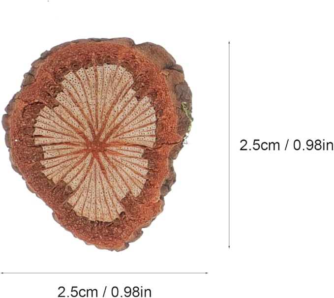GALPADA Christmas Tree Bark Wood Slices Xmas Ornaments Mini Natural Vintage Round Log Discs for Arts & Crafts Home DIY Table Decoration