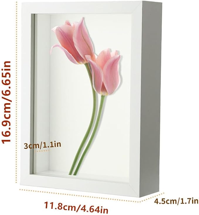 4x6 Small Shadow Box Frame Display Case - Image 2