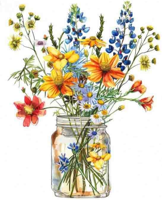 DYAIANGMU Stamping Cross Stitch Kit, Flower Cross Stitch Kit by Unknown