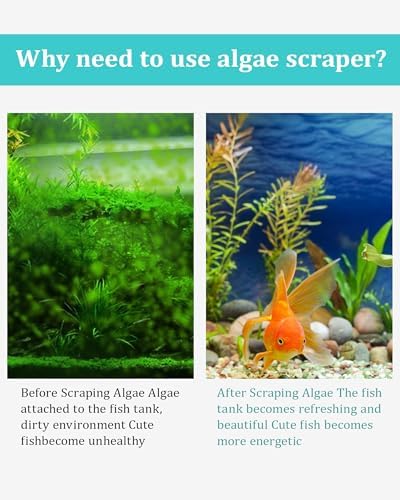 Aquarium Scraper Algae Cleaning Tool - Image 2