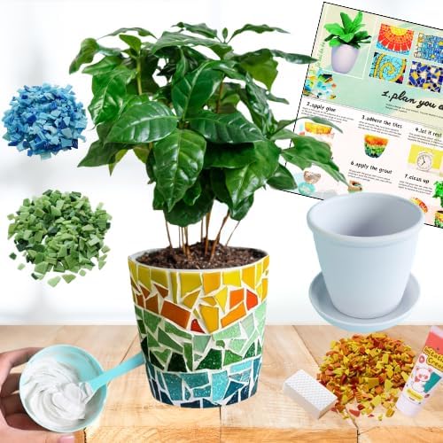 jiezaidada Adult DIY Mosaic Flower Pot Kit, Glass Tile Planter Craft by Jiezaidada-MosaicArtCraft