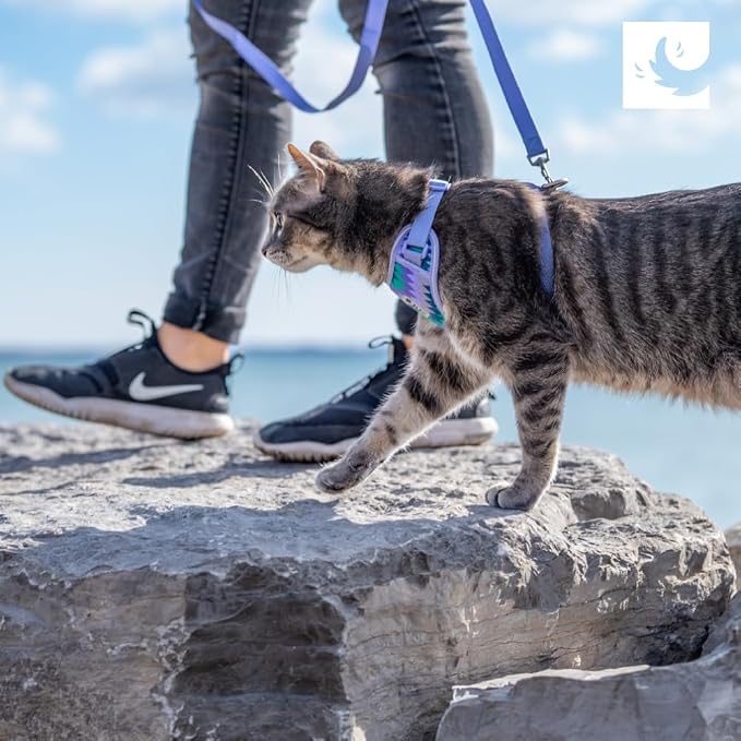 RC Pets Adventure Kitty Cat Harness | Adjustable Airmesh Vest - Image 2
