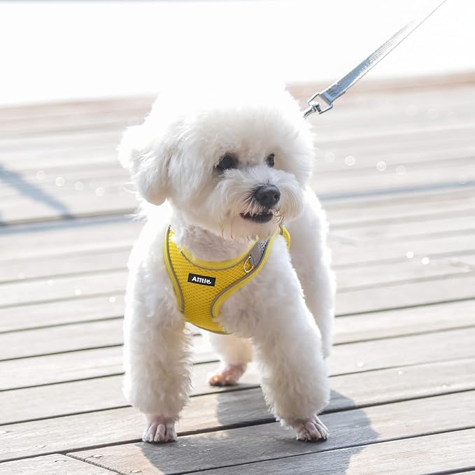 AIITLE Small Harness for Puppy - Image 10