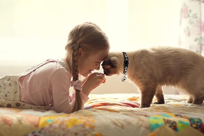 2PCS Breakaway Cat Collars - Image 6