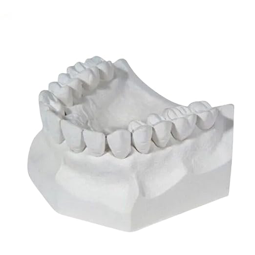 3 LB - White Dental Lab Plaster - Image 5