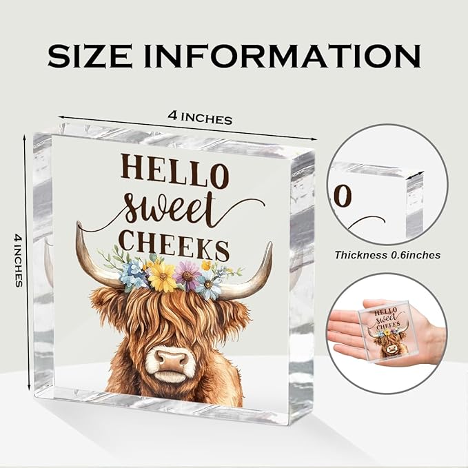 Funny Cow Decorative Signs, Rustic Western Animal with Wreath Office Desk Decor Acrylic Sign 4x4 Inch, Desk Accessories Signs for Bathroom Cubicle Farmhouse Kitchen, Cow Gifts