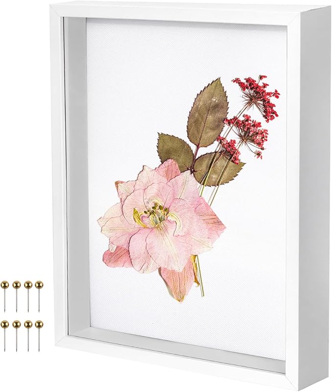 11x14 Shadow Box Frame with Linen Background & Metal Push Pins, Plexiglass by Unknown