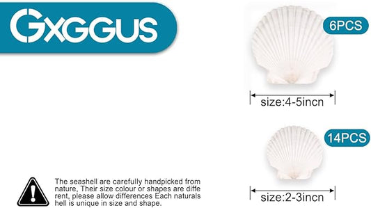 20PCS Natural Scallop Shells for Crafts & Baking - 6 Large (4-5in) & 14 Medium (2-3in) Seashells - DIY Painting, Beach Wedding Decor, Resin Art, Coastal Home Decoration, Party Centerpieces
