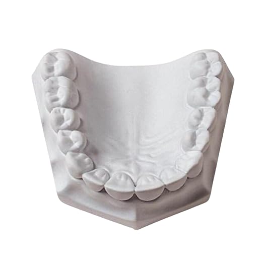 3 LB - White Dental Lab Plaster - Image 8