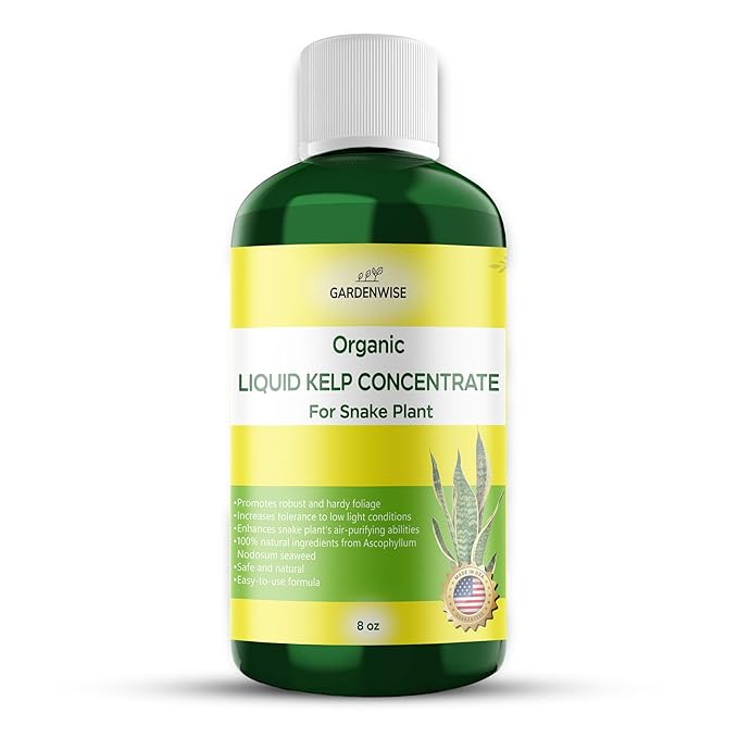 Organic Seaweed Kelp Liquid Fertilizer for Snake Plant (Sansevieria, Dracaena trifasciata) - Snake Plant Fertilizer - Snake Plant Food - Live Plant Care (8 OZ)