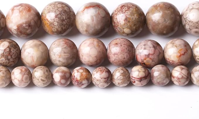 36PCS 10MM Natural Flowery Cowry Fossil Stone Beads Energy Healing Beads for DIY Jewelry Bracelet Necklace Making for Jewelry Making15Inch
