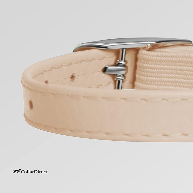 CollarDirect Leather Cat Collar, Kitten Collar - Image 3