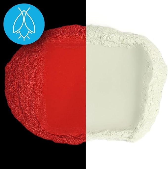 Glow in The Dark Pigment Powder - Neutral and Fluorescent Color for Art Painting, Fine Art, Nail Art Paint, and DIY Crafts - Long Lasting 10+ Color Options - Neutral Red - (1 Kilogram)