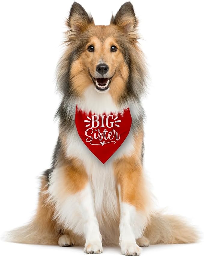 Big Sister Dog Bandana, Pet Dogs Pregnancy Announcement, Pet Bandanas - Image 3