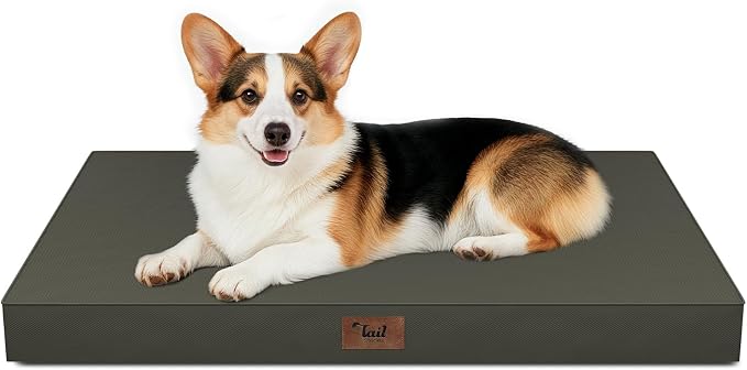 Outdoor Waterproof Dog Bed, Big Dog Bed by TailStories