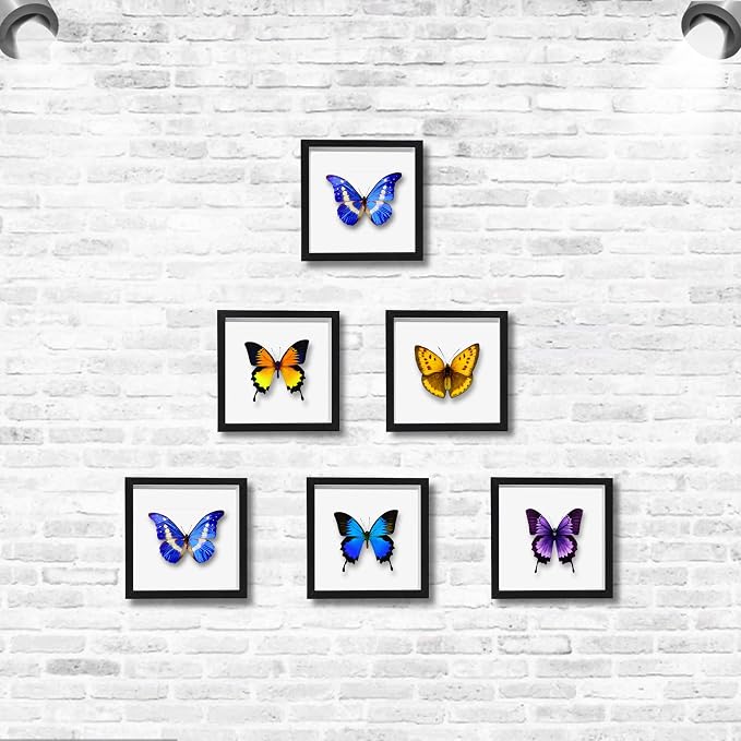 5x5 Small Shadow Box Frame Display Case, Display Case Box - Image 5