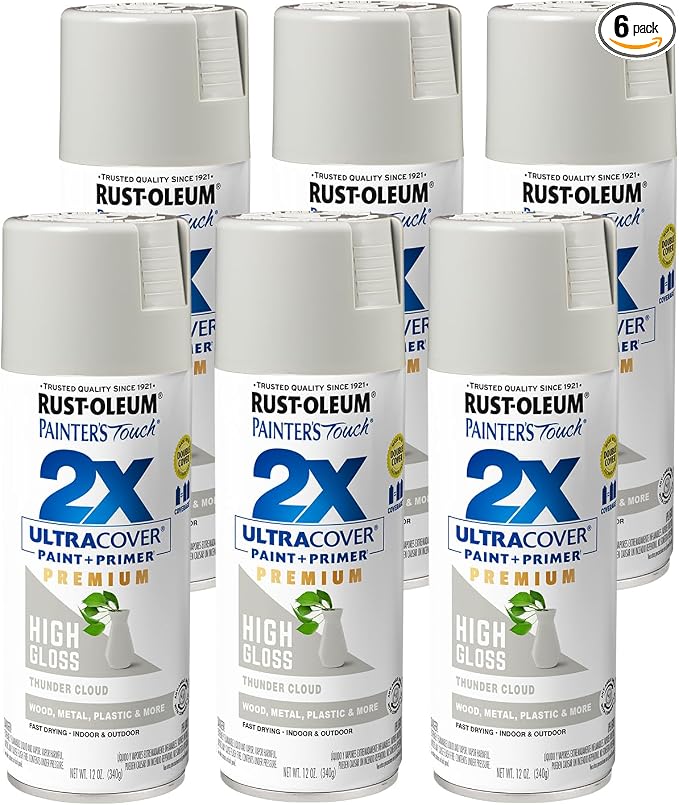 Rust-Oleum Painter's Touch 2X Ultra Cover Spray Paint, Thunder Cloud | Indoor by Rust-Oleum