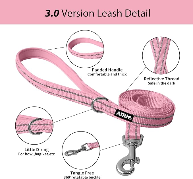 AIITLE Easy Walk Dog Harness and Leash Set - Image 6