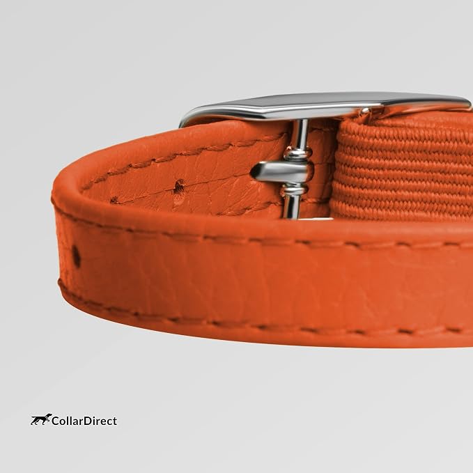 CollarDirect Leather Cat Collar, Kitten Collar - Image 3