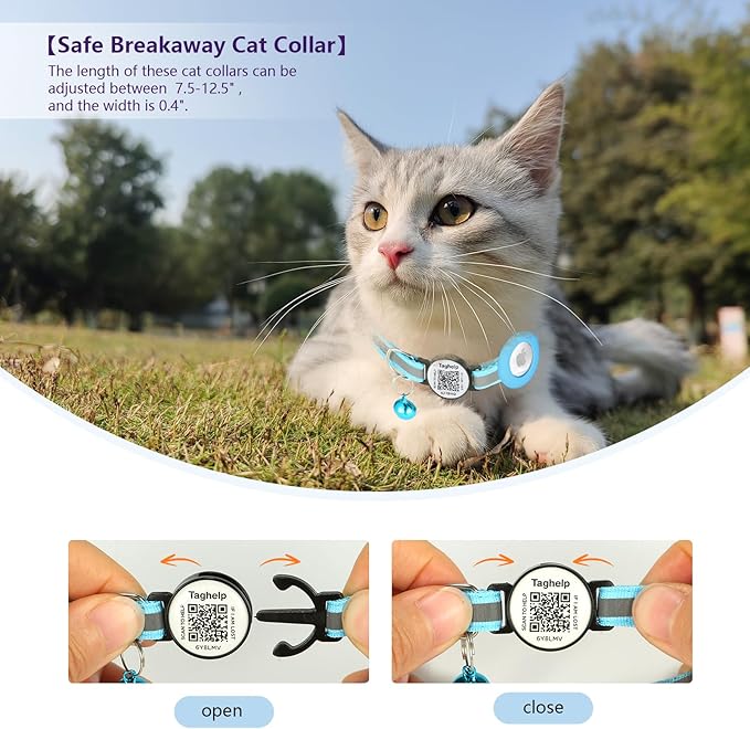Cat Collar with Name Tag Breakaway: Kitten Collars - Image 2