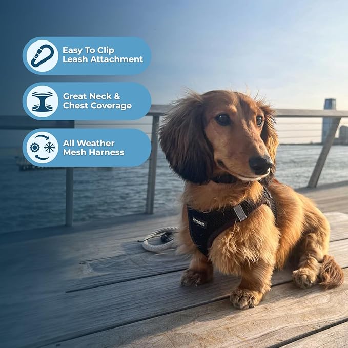 Best Pet Supplies - Image 6