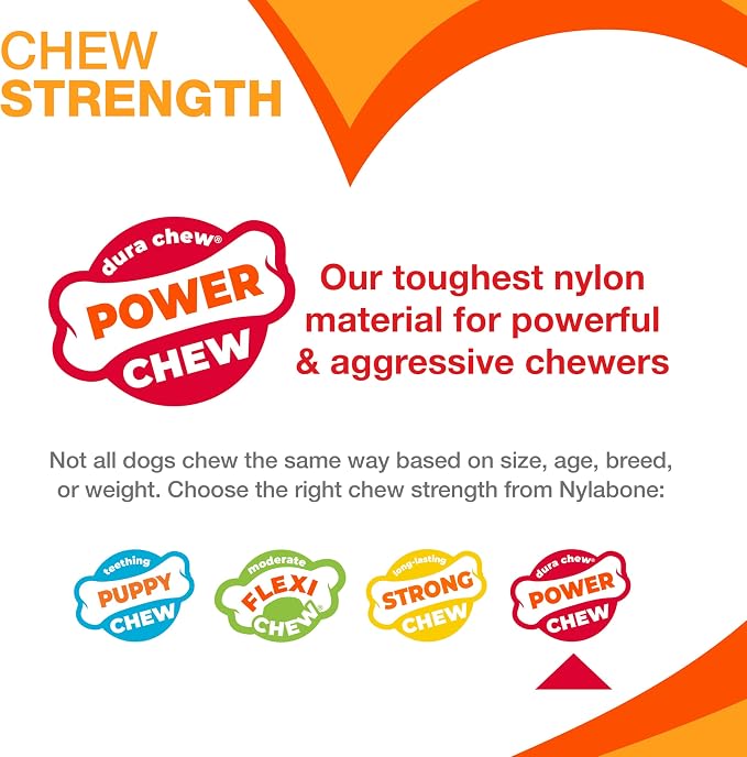Nylabone Original & Textured Bone Power Chew Toy - Image 4