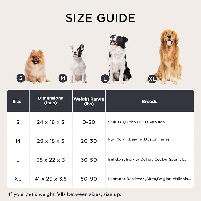 Bedsure Memory Foam Dog Bed for Small Dogs - Image 6