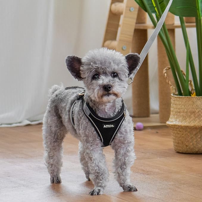 AIITLE Comfortable Dog Harness and Leash Set - Image 2