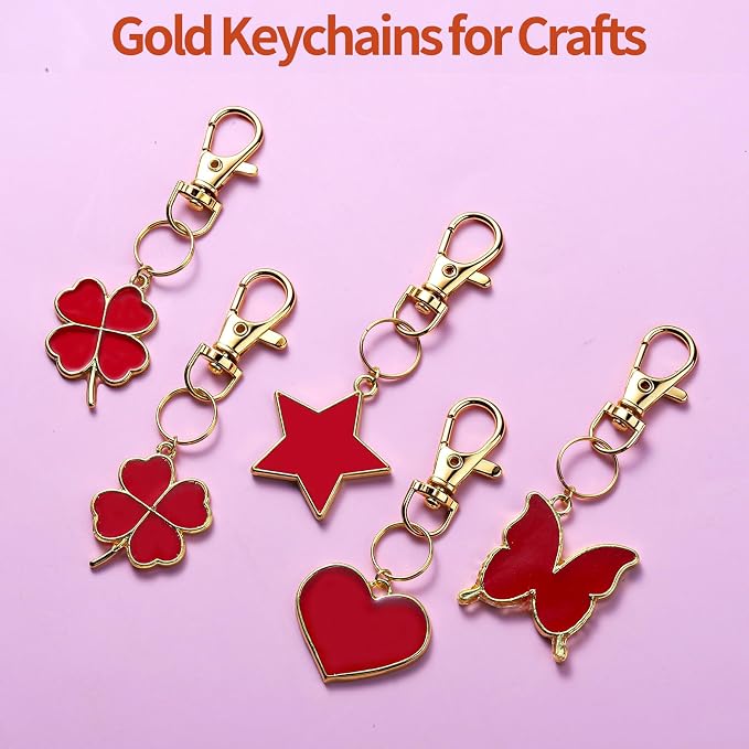 LEOBRO 240PCS Lobster Claw Clasps and Key Rings, Keychain Making kit, Keychains - Image 4