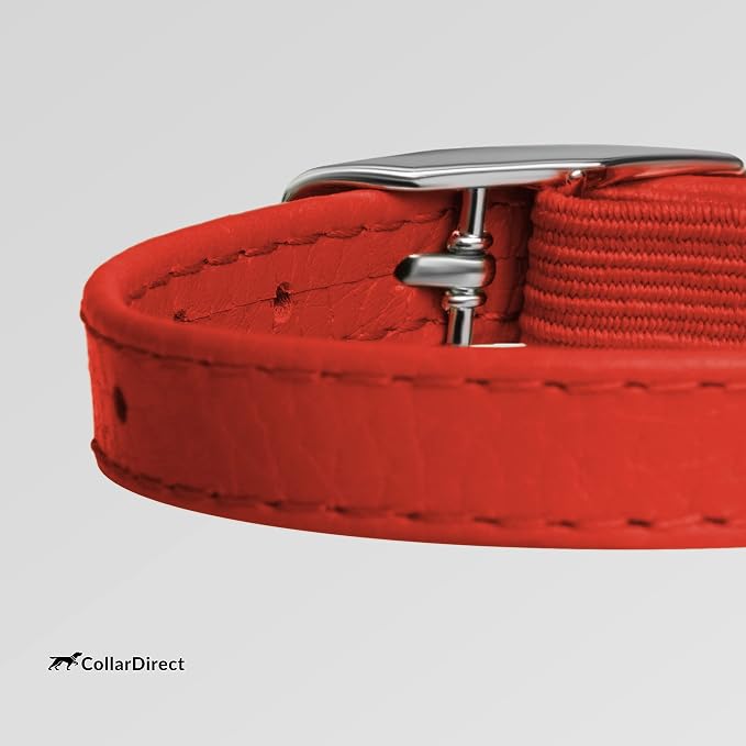 CollarDirect Leather Cat Collar, Cat Safety Collar - Image 3