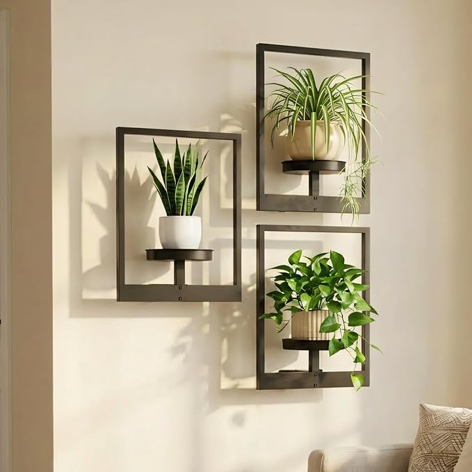 Picture Frame Wall Planters Set of 3, Modern Metal Hanging Shelves by Bbteroiu