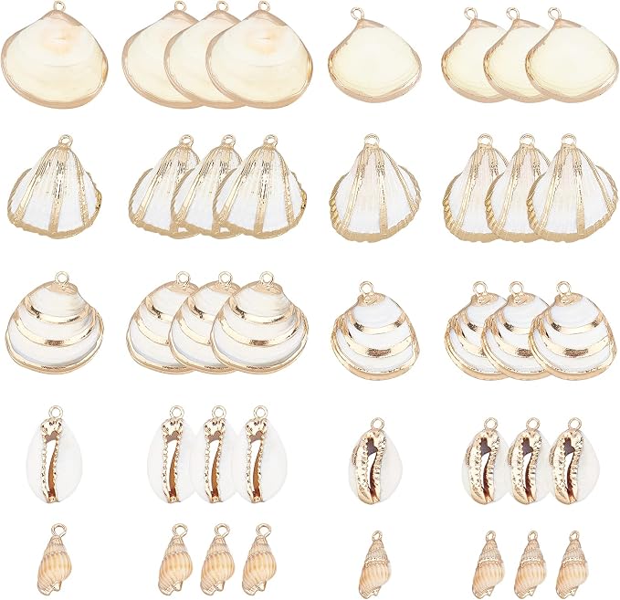 SUNNYCLUE 1 Box 20Pcs 5 Styles Freshwater Shell Charms Ocean Beach Cowrie by SUNNYCLUE