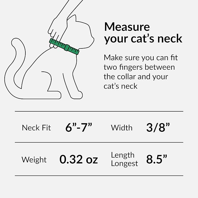 CollarDirect Leather Cat Collar, Cat Safety Collar - Image 4
