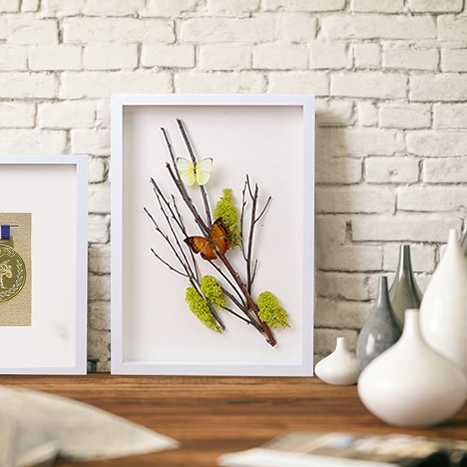 5x7 Shadow Box Frame Display Case - Image 4