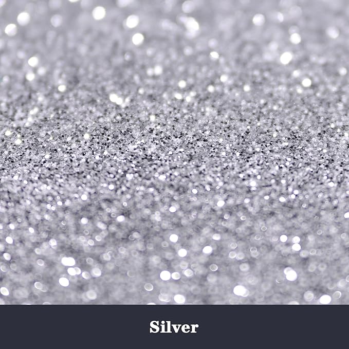 High Capacity 260g Metalic Glitter Shaker Bottle Package - Silver Fine Glitter for Tumbler, Jewelry Making, Epoxy Resin DIY Craft, Face Body Nail Art