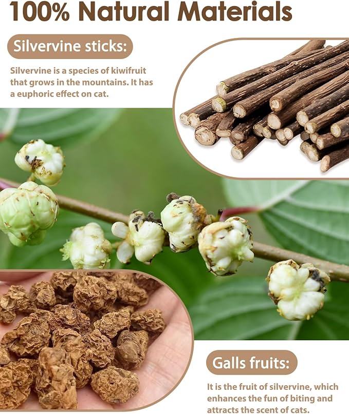 Tocirelo Silvervine Sticks Cat Toys - Image 2