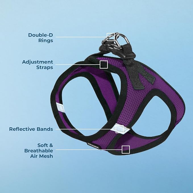 Best Pet Supplies - Image 4