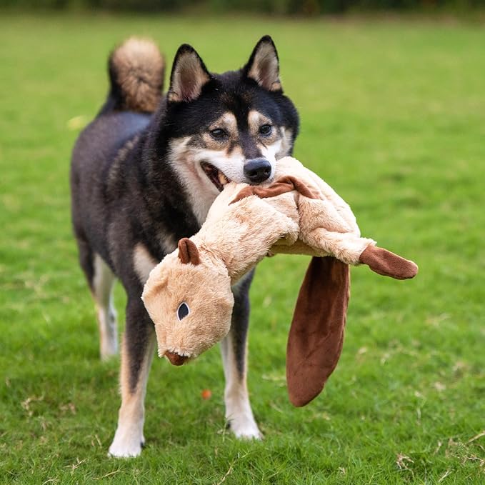 Best Pet Supplies Squeaky Dog Toys - Image 9