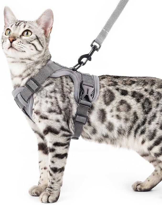 Cat Harness and Leash Set Escape Proof Tactical Large Kitten Harness Emotional by pangdi