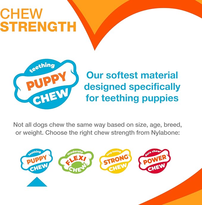Nylabone Teething Rings Puppy Power Chew Toy - Image 5